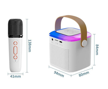 Bluetooth Karaoke Speaker with Dual Wireless Mics