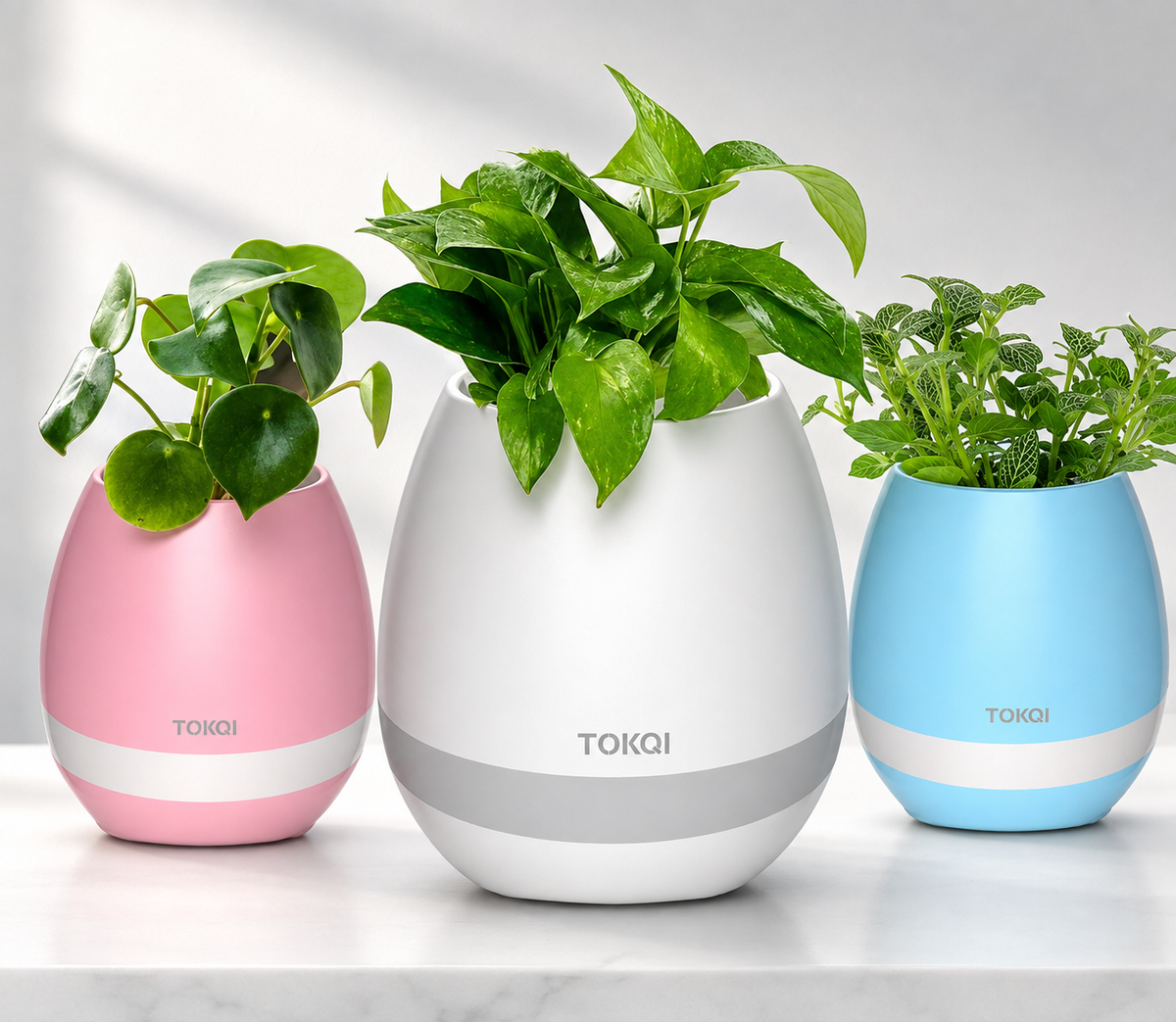 Touch-sensitive music vase desktop audio