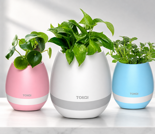 Touch-sensitive music vase desktop audio